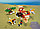 LEGO Creator  31116  Домик на дереве для сафари, конструктор ЛЕГО, фото 10