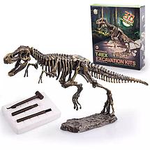 Игровой набор - Юный палеонтолог, фото 2