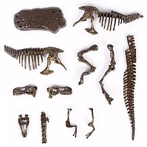 Игровой набор - Юный палеонтолог, фото 3