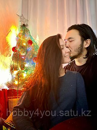 Триптих картина по номерам красками 3х40х60см по фото, фото 2