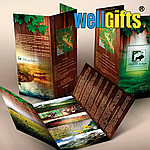 Буклет А4 4+4, фото 2