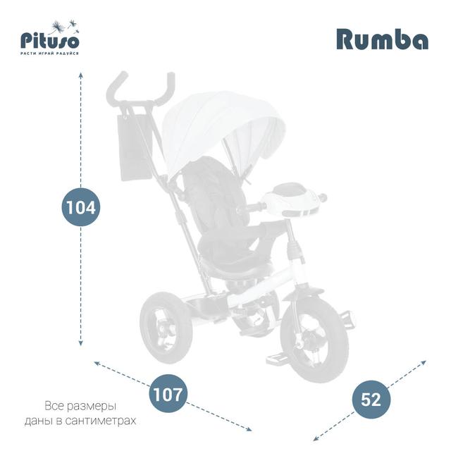Детский трехколесный велосипед Pituso Rumba