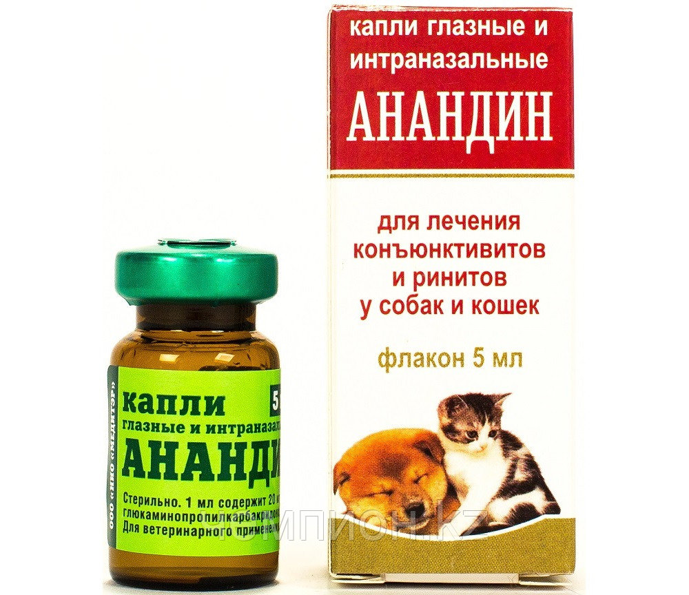 Анандин, Глазные капли для кошек и собак, фл 5 мл. - фото 1 - id-p88581761