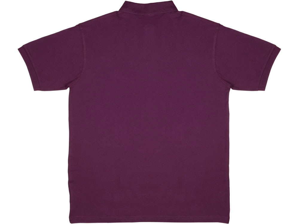 Рубашка поло Boston мужская, темно-фиолетовый (артикул 3177F382XL) - фото 2 - id-p65789774