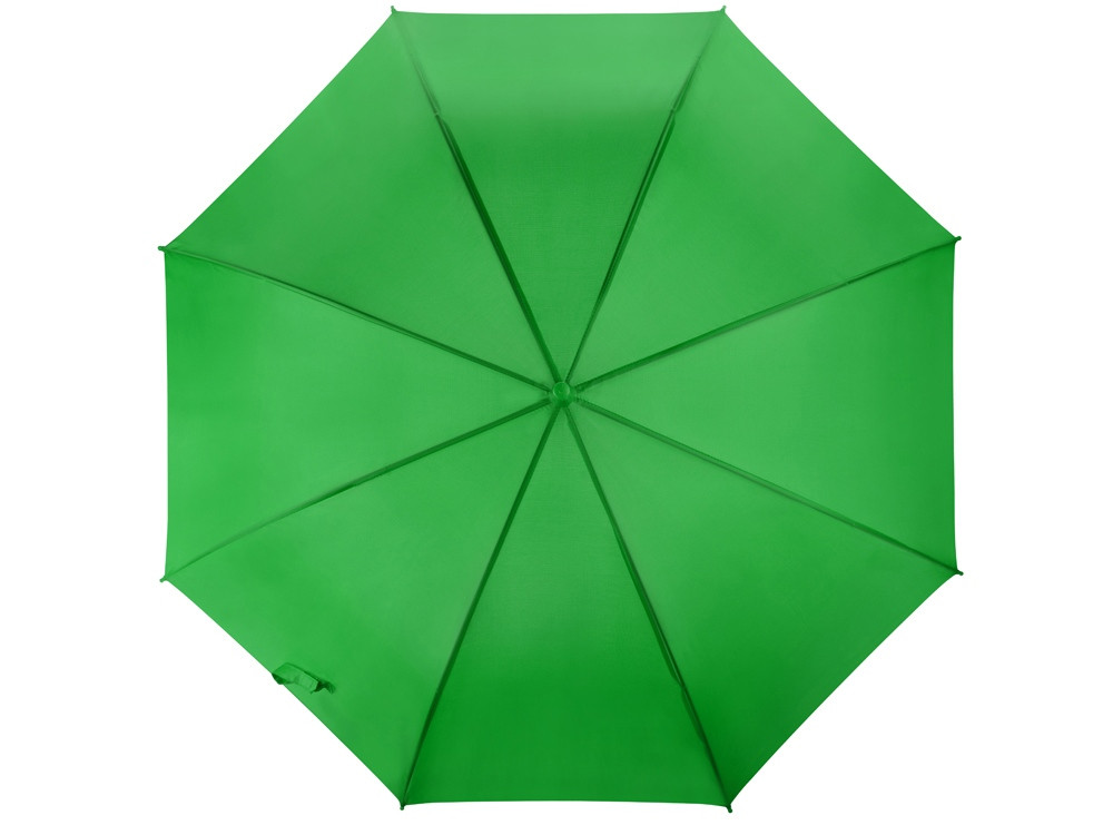 Зонт-трость Яркость, зеленое яблоко (артикул 907013) - фото 4 - id-p65794436
