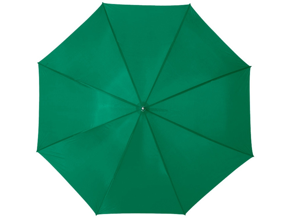 Зонт Karl 30 механический, зеленый (артикул 10901806) - фото 2 - id-p65791425