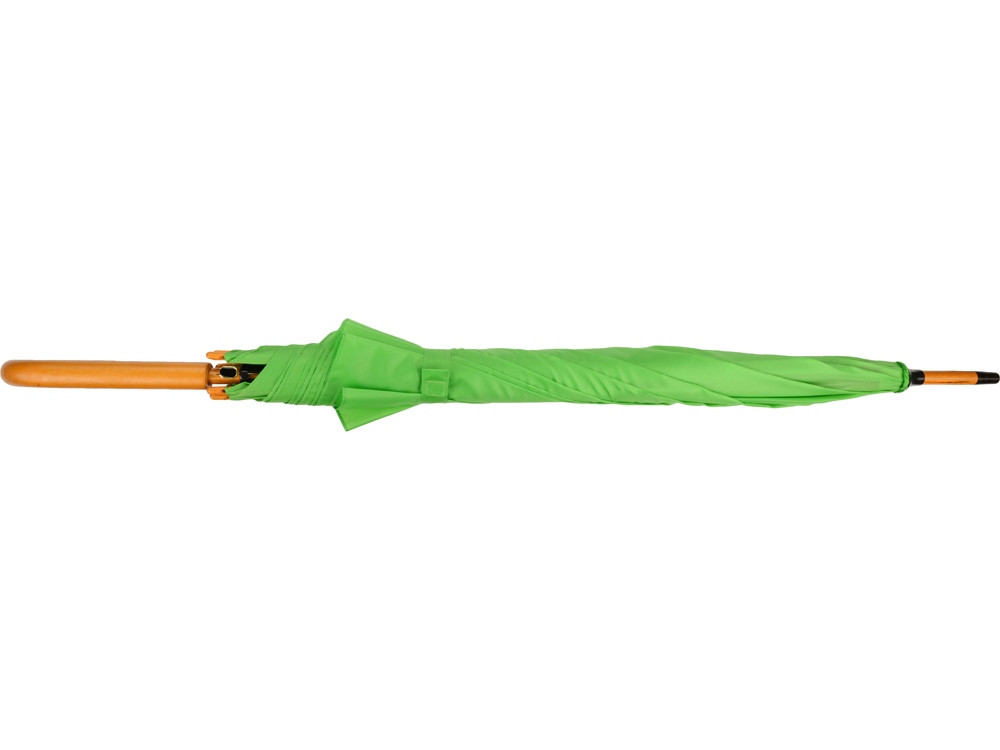 Зонт-трость Радуга, зеленое яблоко (артикул 906123p) - фото 5 - id-p88581803