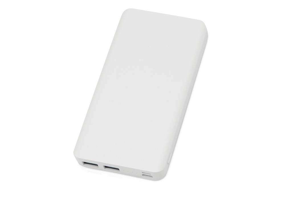 Портативное зарядное устройство Blank Pro, 10000 mAh (артикул 5911006)
