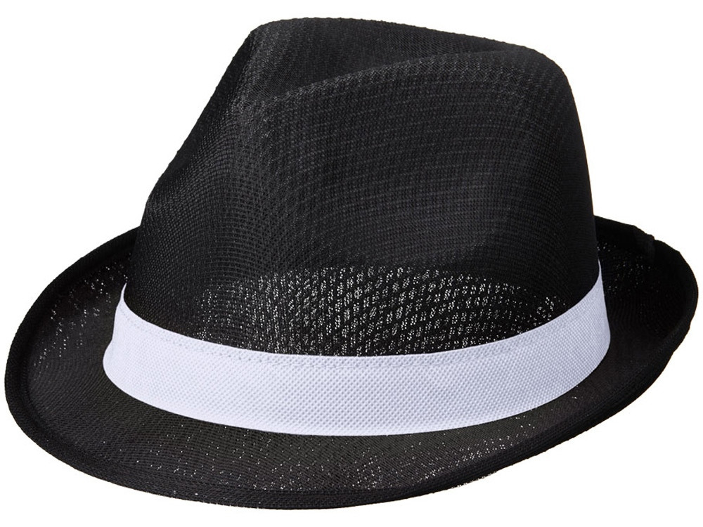 Лента для шляпы Trilby, белый (артикул 38664010) - фото 6 - id-p65818536