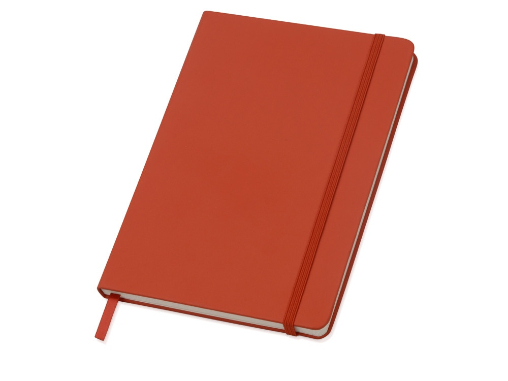 Блокнот А5 Vision, Lettertone, красный (артикул 782101), фото 1