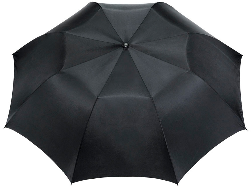 Зонт Argon 30 двухсекционный полуавтомат, черный (артикул 10909800) - фото 2 - id-p65813295