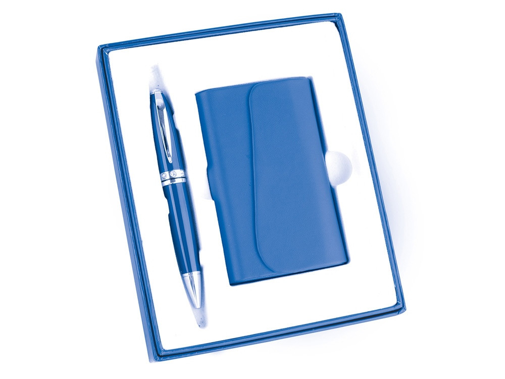 Набор Эстет: визитница, ручка шариковая, синий (Р) (артикул 675202р)