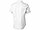 Рубашка Manitoba мужская с коротким рукавом, белый (артикул 3816001XS), фото 2