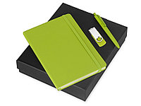 Подарочный набор Vision Pro Plus soft-touch с флешкой, ручкой и блокнотом А5, зеленый (артикул 700342.03)