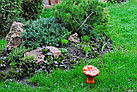 Садовая фигура Гриб, декор, фигурка, скульптура для сада, керамическая, ландшафтная, 20*18 см, фото 4