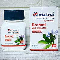 Брахми (Brahmi) - для улучшения памяти, мозговой  активности, 60 таб
