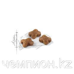 ROYAL CANIN Kitten36, Роял Канин Киттен, корм для котят от 4-х мес, уп. 2 кг. - фото 2 - id-p27193813