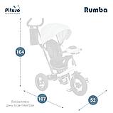 Велосипед трехколесный Pituso Rumba Dark grey, фото 7