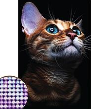 Алмазная вышивка с частичным заполнением «Взгляд кошки» 20 х 30 см на холсте