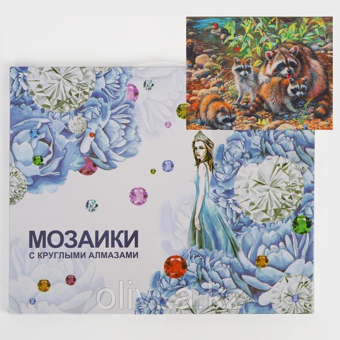 Алмазная мозаика с подрамником, полное заполнение «Еноты» 40×50 см