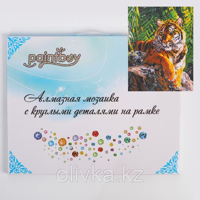 Алмазная мозаика с подрамником, полное заполнение «Тигр» 40×50 см