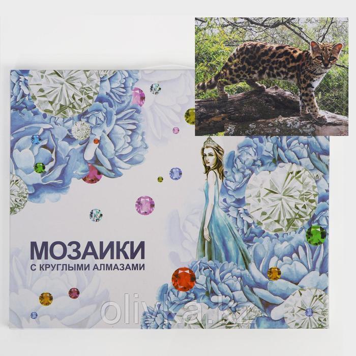 Алмазная мозаика с подрамником, полное заполнение «Молодой гепард» 40×50 см