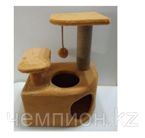 ЗН0294 Несси, Домик-когтеточка для кошек, размер 35х45х65 см, цвет в ассортименте