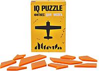Головоломка IQ Puzzle, самолет (артикул 12108.13)