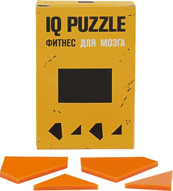 Головоломка IQ Puzzle Figures, прямоугольник (артикул 12110.03)