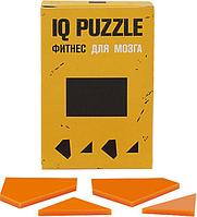 Головоломка IQ Puzzle Figures, прямоугольник (артикул 12110.03)