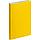 Ежедневник Flex New Brand, недатированный, желтый (артикул 17883.80), фото 2