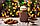 Набор с горячим шоколадом Daydreamer, ver.3 (артикул 10228.03), фото 5