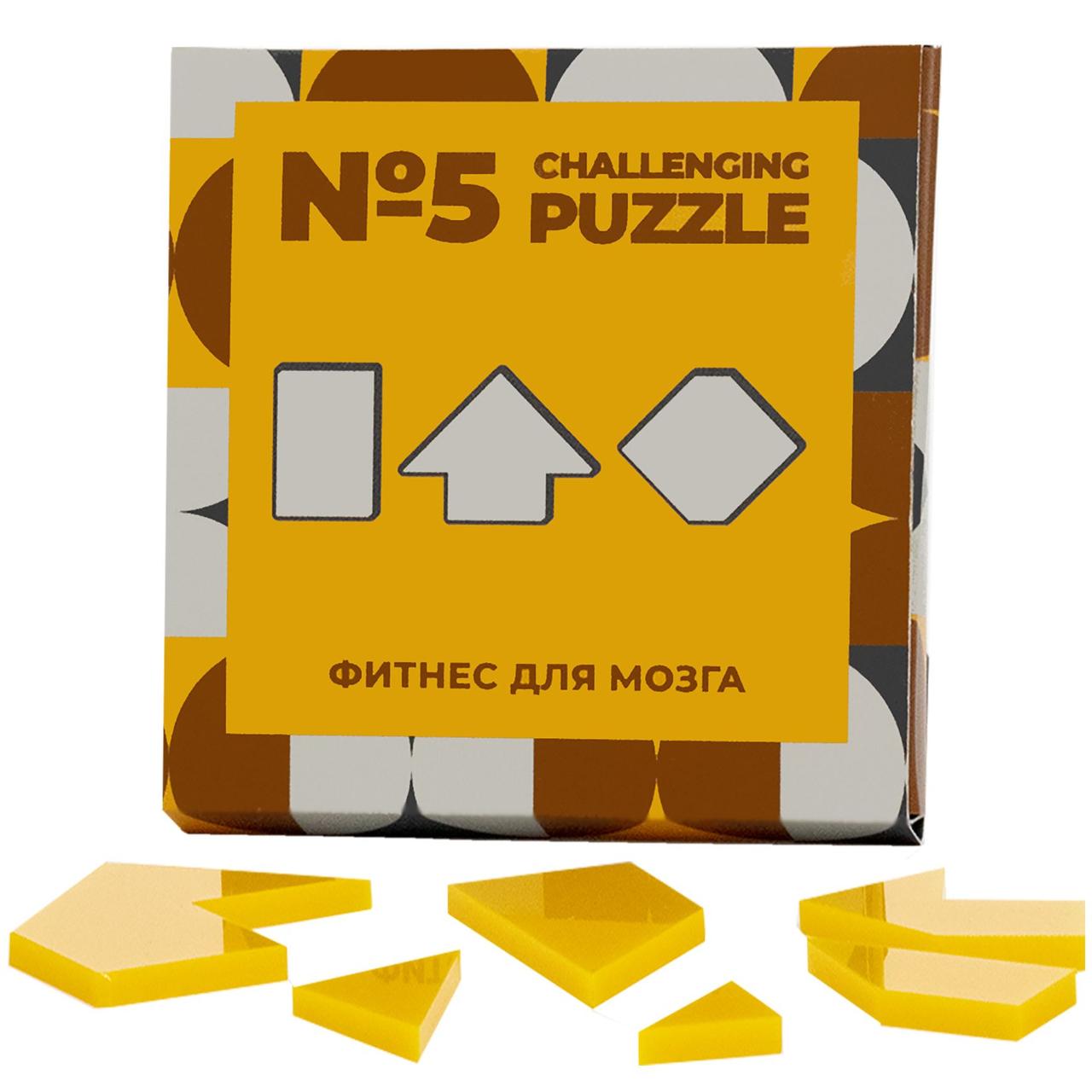 Головоломка Challenging Puzzle Acrylic, модель 5 (артикул 12107.03)