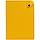 Ежедневник Tenax, недатированный, желтый (артикул 11668.80), фото 2