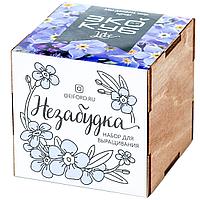 Набор для выращивания «Экокуб Lite», незабудка (артикул 10607.12)