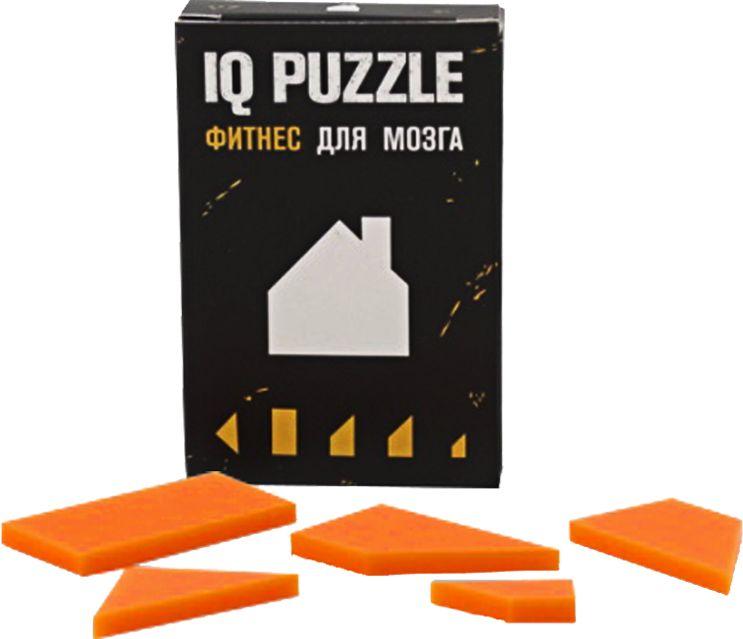 Головоломка IQ Puzzle, домик (артикул 12108.02) - фото 1 - id-p88634321