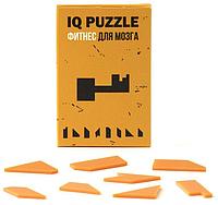 Головоломка IQ Puzzle, ключ (артикул 12108.05)