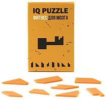 Головоломка IQ Puzzle, ключ (артикул 12108.05)