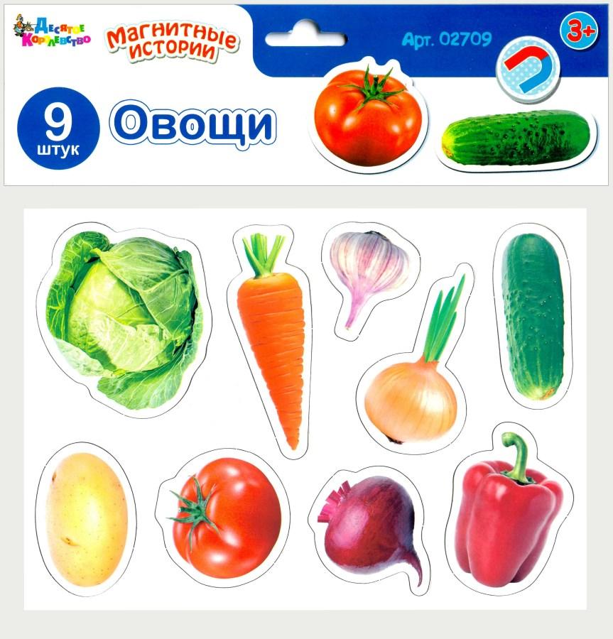 Магниты «Овощи»