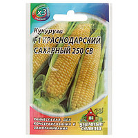 Семена Кукуруза "Краснодарский сахарный 250 CВ" F1, раннеспелая, 5 г