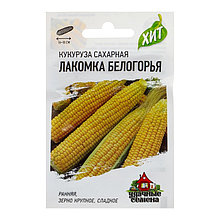 Семена Кукуруза сахарная "Лакомка Белогорья", 5 г  серия ХИТ х3