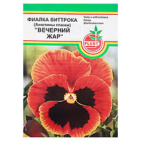 Семена цветов Виола "Вечерний жар", Дв, 0,03 г