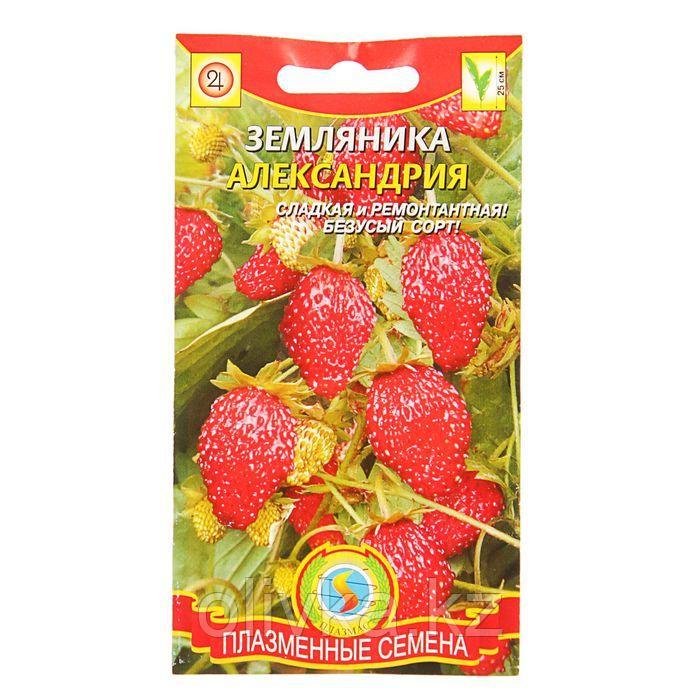 Семена Земляника "Александрия" ремонтантная, 0,04 г