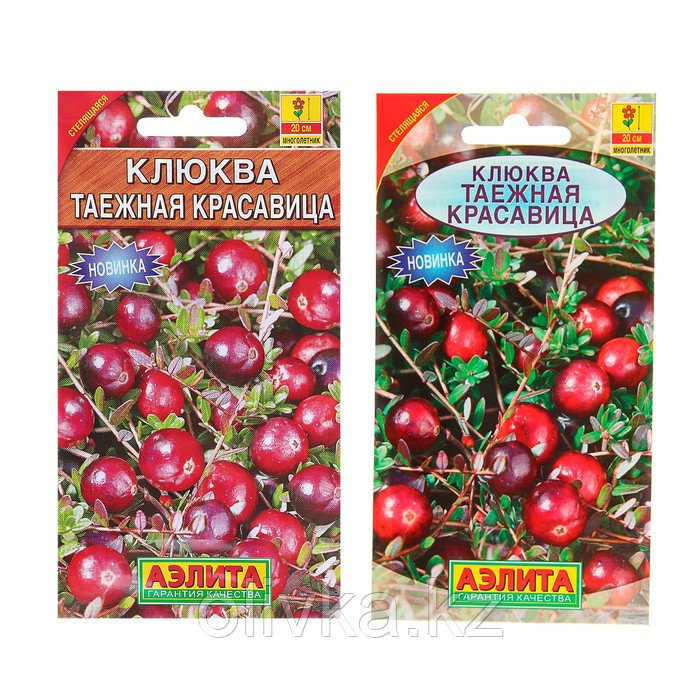 Семена Клюква крупноплодная "Таежная красавица", 0,02 г