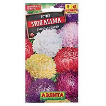 Семена цветов Астра "Моя мама", смесь окрасок, О, 0,2 г
