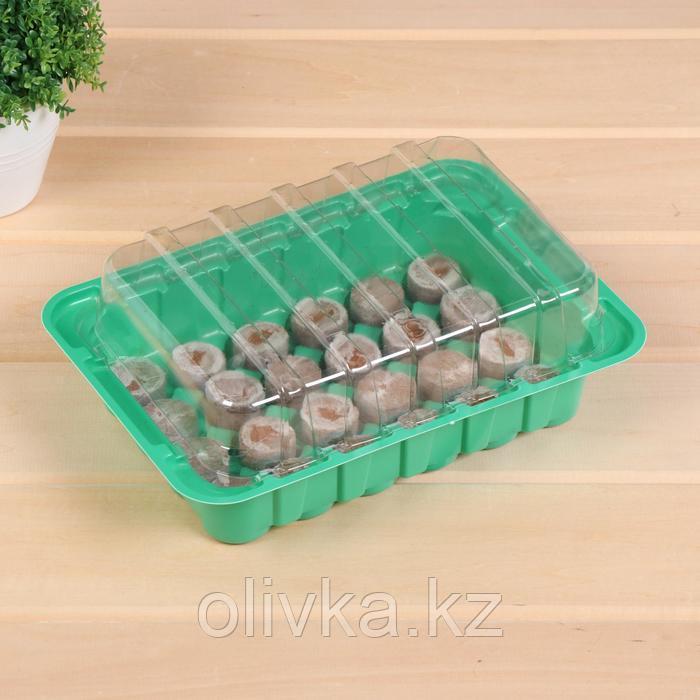 Мини-парник для рассады: кокосовая таблетка d = 3 см, 24 шт., jiffy