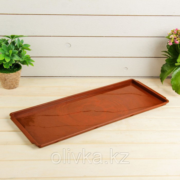 Поддон для рассады, 50 × 20,5 × 1,5 см, цвет МИКС