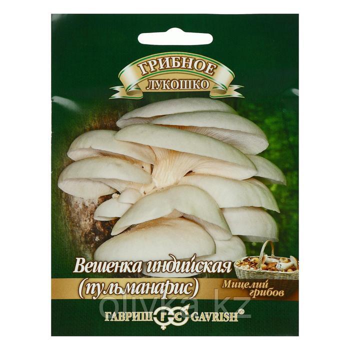 Мицелий на древесном носителе Вешенка индийская "Пульмонарис",12 шт