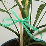 Шпагат для подвязки растений, 30 м, полипропилен, зелёный, Greengo, фото 3