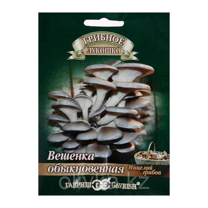 Мицелий на компосте "Вешенка Обыкновенная" на древесной палочке, 12 шт.